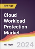 Cloud Workload Protection Market Report: Trends, Forecast and Competitive Analysis to 2030- Product Image
