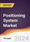 Positioning System Market Report: Trends, Forecast and Competitive Analysis to 2030- Product Image
