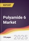 Polyamide 6 Market Report: Trends, Forecast and Competitive Analysis to 2030 - Product Image