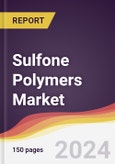Sulfone Polymers Market Report: Trends, Forecast and Competitive Analysis to 2030- Product Image