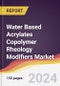 Water Based Acrylates Copolymer Rheology Modifiers Market Report: Trends, Forecast and Competitive Analysis to 2030 - Product Image