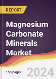 Magnesium Carbonate Minerals Market Report: Trends, Forecast and Competitive Analysis to 2030- Product Image