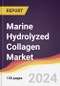 Marine Hydrolyzed Collagen Market Report: Trends, Forecast and Competitive Analysis to 2030 - Product Image