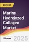 Marine Hydrolyzed Collagen Market Report: Trends, Forecast and Competitive Analysis to 2030 - Product Thumbnail Image