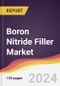 Boron Nitride Filler Market Report: Trends, Forecast and Competitive Analysis to 2030 - Product Thumbnail Image