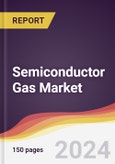 Semiconductor Gas Market Report: Trends, Forecast and Competitive Analysis to 2030- Product Image
