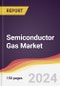 Semiconductor Gas Market Report: Trends, Forecast and Competitive Analysis to 2030 - Product Image