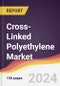 Cross-Linked Polyethylene (PEX) Market Report: Trends, Forecast and Competitive Analysis to 2030 - Product Image