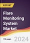 Flare Monitoring System Market Report: Trends, Forecast and Competitive Analysis to 2030 - Product Thumbnail Image