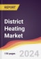 District Heating Market Report: Trends, Forecast and Competitive Analysis to 2030 - Product Thumbnail Image