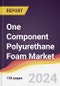 One Component Polyurethane Foam Market Report: Trends, Forecast and Competitive Analysis to 2030 - Product Image