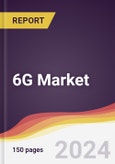 6G Market Report: Trends, Forecast and Competitive Analysis to 2030- Product Image