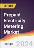 Prepaid Electricity Metering Market Report: Trends, Forecast and Competitive Analysis to 2030- Product Image