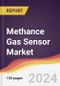 Methance Gas Sensor Market Report: Trends, Forecast and Competitive Analysis to 2030 - Product Thumbnail Image