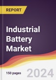 Industrial Battery Market Report: Trends, Forecast and Competitive Analysis to 2030- Product Image