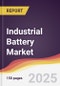 Industrial Battery Market Report: Trends, Forecast and Competitive Analysis to 2030 - Product Image