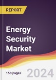 Energy Security Market Report: Trends, Forecast and Competitive Analysis to 2030- Product Image
