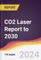 CO2 Laser Report: Trends, Forecast and Competitive Analysis to 2030 - Product Thumbnail Image