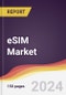 eSIM Market Report: Trends, Forecast and Competitive Analysis to 2030 - Product Thumbnail Image