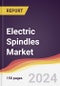 Electric Spindles Market Report: Trends, Forecast and Competitive Analysis to 2030 - Product Thumbnail Image