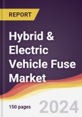 Hybrid & Electric Vehicle Fuse Market Report: Trends, Forecast and Competitive Analysis to 2030- Product Image