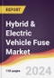 Hybrid & Electric Vehicle Fuse Market Report: Trends, Forecast and Competitive Analysis to 2030 - Product Thumbnail Image
