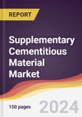 Supplementary Cementitious Material Market Report: Trends, Forecast and Competitive Analysis to 2030- Product Image