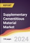 Supplementary Cementitious Material Market Report: Trends, Forecast and Competitive Analysis to 2030 - Product Thumbnail Image
