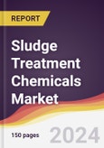 Sludge Treatment Chemicals Market Report: Trends, Forecast and Competitive Analysis to 2030- Product Image