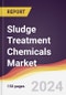 Sludge Treatment Chemicals Market Report: Trends, Forecast and Competitive Analysis to 2030 - Product Image