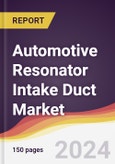 Automotive Resonator Intake Duct Market Report: Trends, Forecast and Competitive Analysis to 2030- Product Image
