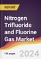 Nitrogen Trifluoride and Fluorine Gas Market Report: Trends, Forecast and Competitive Analysis to 2030 - Product Image