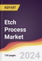 Etch Process Market Report: Trends, Forecast and Competitive Analysis to 2030 - Product Thumbnail Image