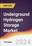 Underground Hydrogen Storage Market Report: Trends, Forecast and Competitive Analysis to 2030- Product Image