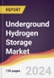 Underground Hydrogen Storage Market Report: Trends, Forecast and Competitive Analysis to 2030 - Product Image