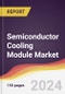 Semiconductor Cooling Module Market Report: Trends, Forecast and Competitive Analysis to 2030 - Product Thumbnail Image