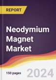 Neodymium Magnet Market Report: Trends, Forecast and Competitive Analysis to 2030- Product Image
