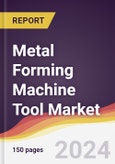 Metal Forming Machine Tool Market Report: Trends, Forecast and Competitive Analysis to 2030- Product Image