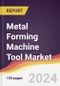 Metal Forming Machine Tool Market Report: Trends, Forecast and Competitive Analysis to 2030 - Product Thumbnail Image