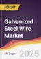 Galvanized Steel Wire Market Report: Trends, Forecast and Competitive Analysis to 2030 - Product Thumbnail Image