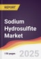 Sodium Hydrosulfite Market Report: Trends, Forecast and Competitive Analysis to 2030 - Product Thumbnail Image