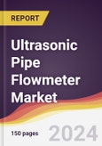 Ultrasonic Pipe Flowmeter Market Report: Trends, Forecast and Competitive Analysis to 2030- Product Image