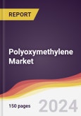 Polyoxymethylene Market Report: Trends, Forecast and Competitive Analysis to 2030- Product Image
