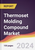 Thermoset Molding Compound Market Report: Trends, Forecast and Competitive Analysis to 2030- Product Image