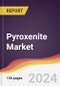 Pyroxenite Market Report: Trends, Forecast and Competitive Analysis to 2030 - Product Thumbnail Image