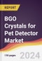 BGO Crystals for Pet Detector Market Report: Trends, Forecast and Competitive Analysis to 2030 - Product Image