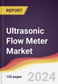 Ultrasonic Flow Meter Market Report: Trends, Forecast and Competitive Analysis to 2030- Product Image