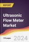 Ultrasonic Flow Meter Market Report: Trends, Forecast and Competitive Analysis to 2030 - Product Thumbnail Image