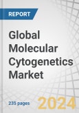 Global Molecular Cytogenetics Market by Product (Kits, Reagents, Probes, Instrument, Software, Services), Technique (FISH, CISH, Comparative Genomic Hybridization (Array-based, Standard)), Application (Cancer, Genetics Disorders) - Forecast to 2028- Product Image