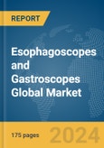 Esophagoscopes and Gastroscopes Global Market Report 2024- Product Image